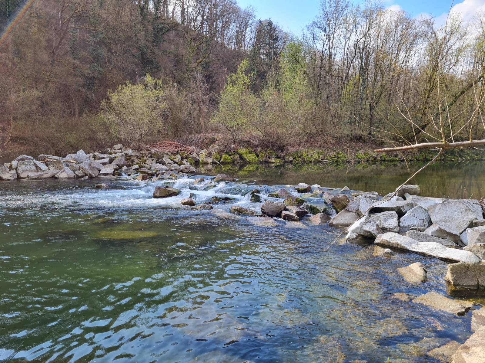 Naturerlebnis Auwaldgeschichten
